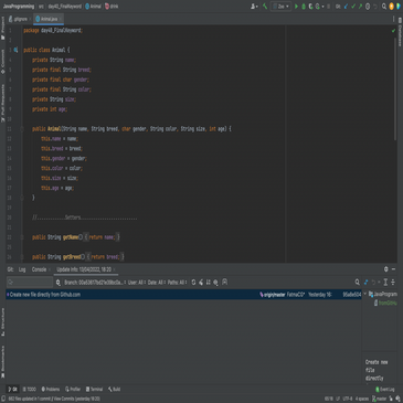 JAVA